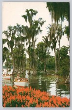 Vintage Florida Cypress Gardens Postcard Scen...