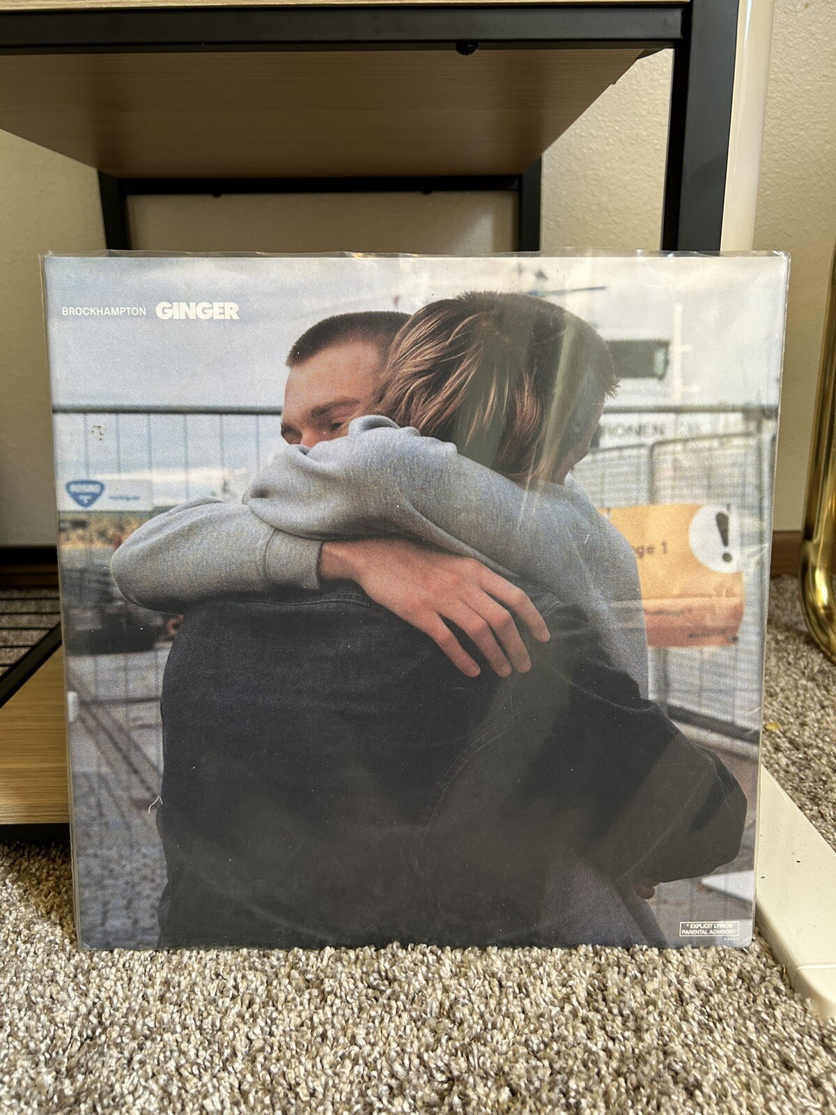 BROCKHAMPTON GINGER レコード 【公式通販】