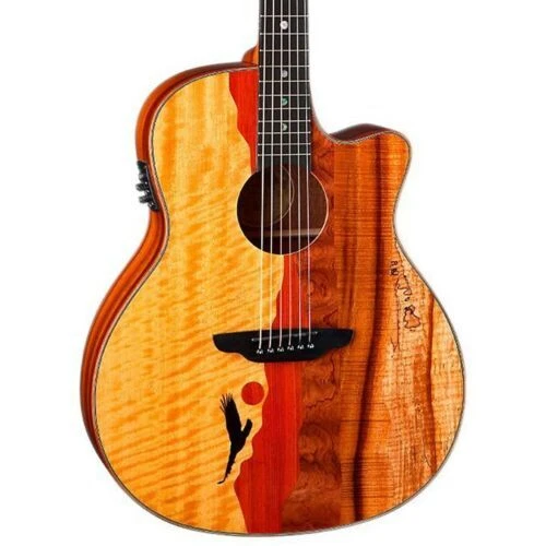 Rosewood LUNA Acoustic Guitars