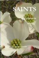 Saints Not Sinners Kevin Don Levellie Taschenbuch Kartoniert / Broschiert 2016