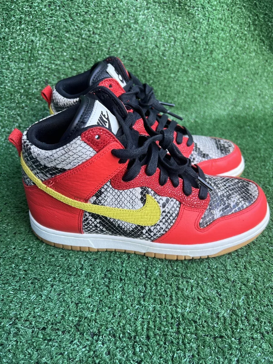 Nike hot sale dunks python