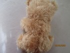 So Sweet Teddy Bear Plush 9" sitting new/no hang tag, Golden / Beige, Greenbrier — photo 3