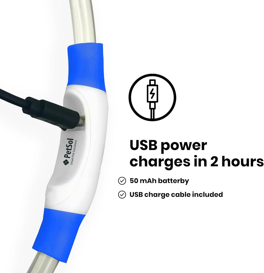 Collare per Cani a LED Blu - Collare Di Sicurezza per Animali Domestici Con Luce - Immagine 4 di 4