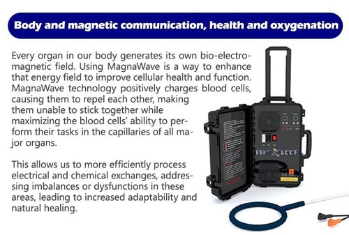 Pmst Loop PEMF Magnetic Therapy Pain Relief Physical Magneto Therapy Machine - Picture 5 of 40