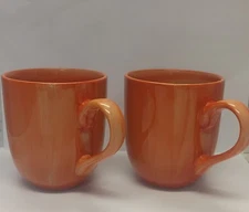 Citrus Grove Coffee Cup Mug Pumpkin/Orange Hand painted 14 oz Set of 2