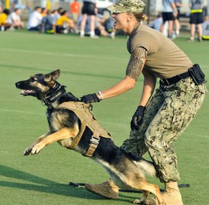 army tactical dog vest