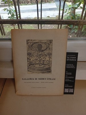 Galerie seltsamer Ärzte. Gian Battista Della Porta - Franz Anton Mesmer