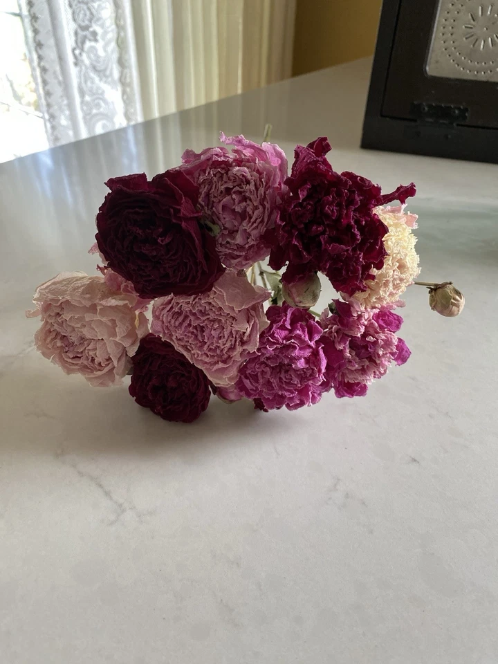 PEONIES * DRIED FLOWER Bunch BOUQUET Bundle USA Grown * Assorted PEONY Mix Auc#1 - Image 2 of 4