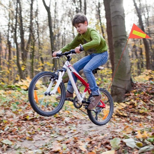 2 Sets Fahrradfahne Sicherheit Wimpel Fahrrad Anhänger Fahnenstange Wasserdicht - Bild 4 von 19