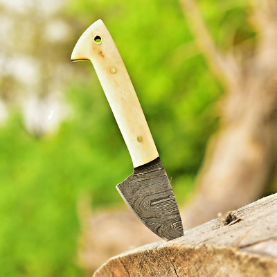 HANDMADE forged Damascus skinner knife ideal miniature knife camel bone handle