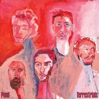 Audio Cd - Pond - Terrestrials - (Tba) -D- Neu