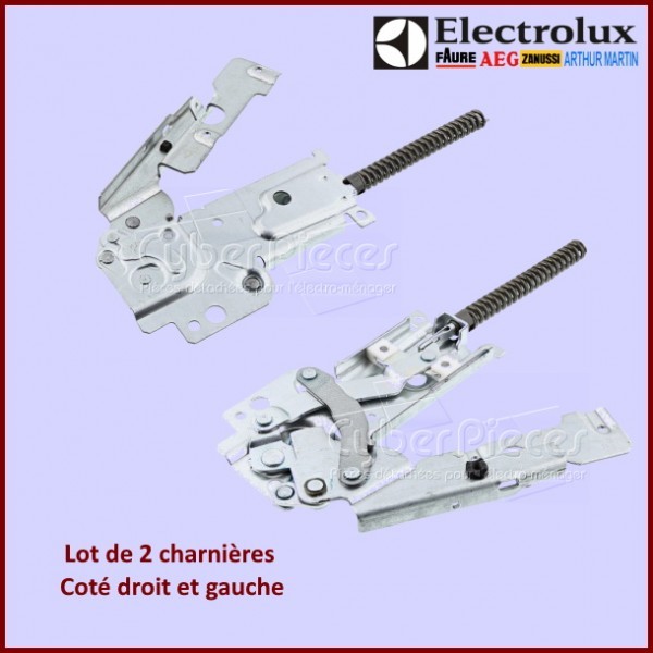 Charnières Electrolux 4055076535 d'origine mécanique robuste en acier pour intégration