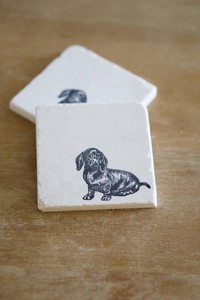 dachshund coasters