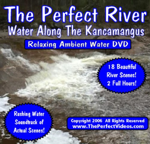 YOUR Choice of 5 DVD's! Fireplace, Waves, Aquarium, River, Party, Snow, 5 DISCS - Picture 8 of 12