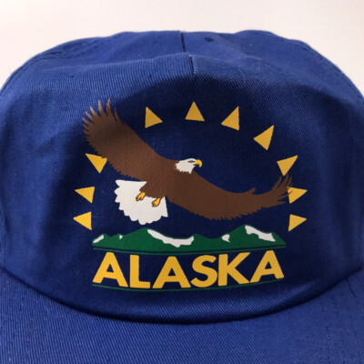 Retro Alaska Bald Eagle Sun Mountain Hat Blue Snapback | eBay