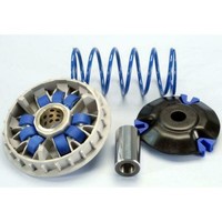 Wandler Polini Honda 125 Pcx 9 Walzen (241697) FüR Motorrad Ersatzteile ZubehöR