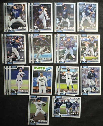 Topps Tampa Bay Rays 22 Card Lot