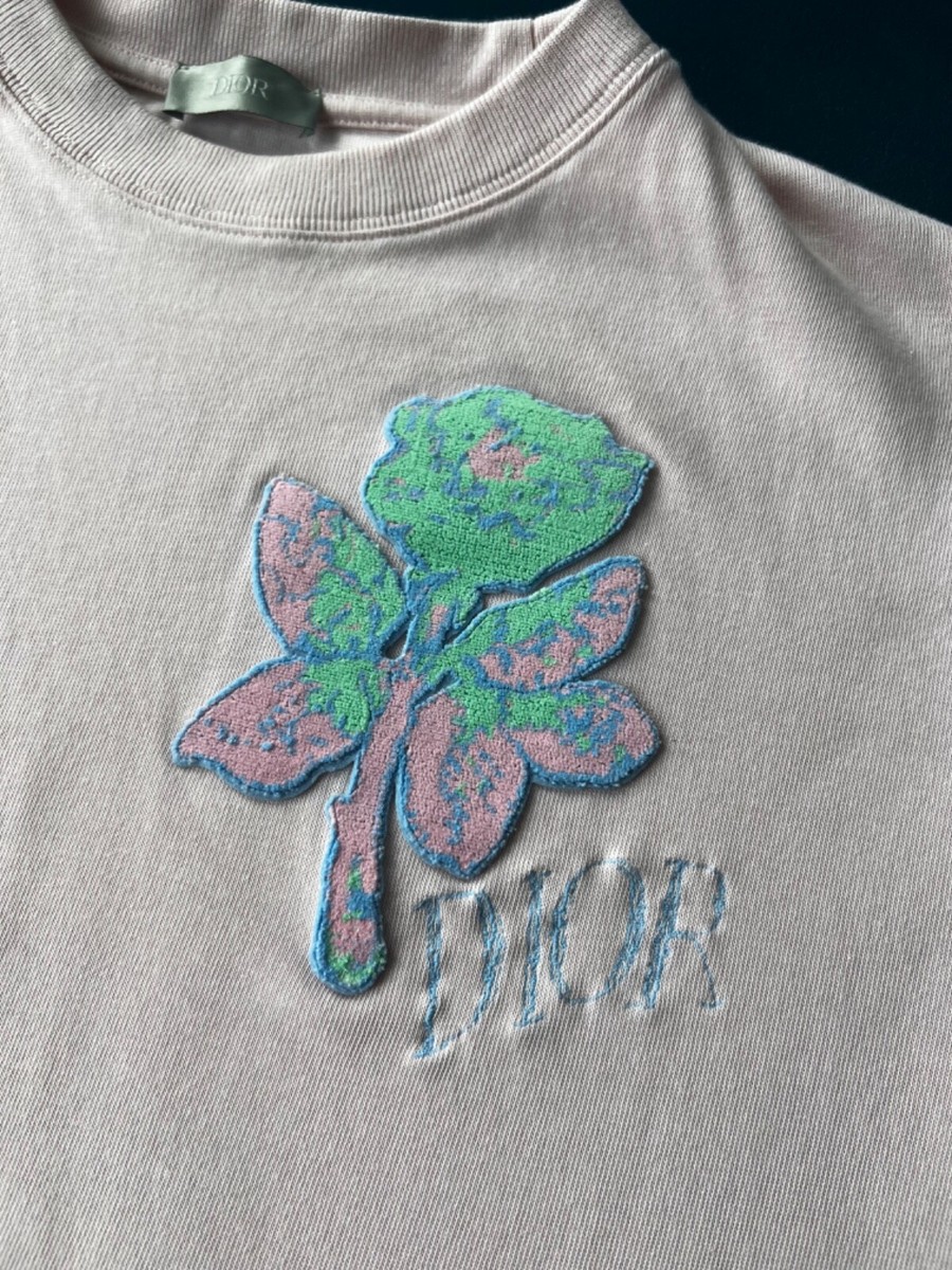 Dior X Alex Foxton Rose Embroidered Mens T-shirt Pink Small Dior X Alex Foxton Rose Embroidered Mens T-shirt Pink Small