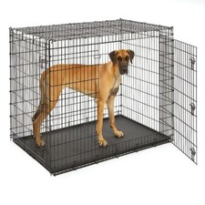 54 Inch Dog Crate for XXL Pet Double Door Heavy Duty Metal Slide Bolt Latches