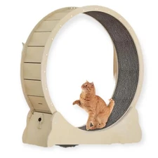 Solid Wood Cat Treadmill: Pet Entertainment with Safety Lock and Silent Rails