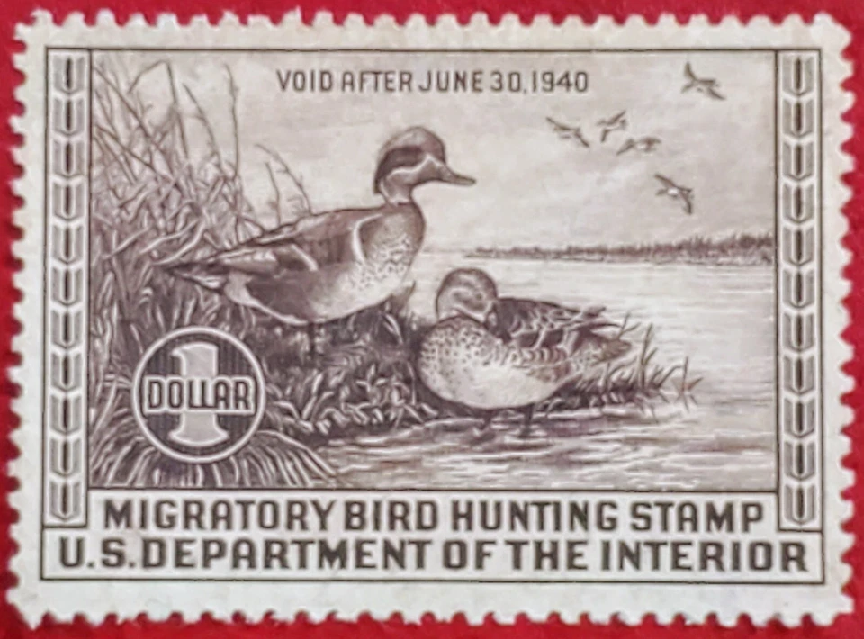 US STAMPS #RW6 1939 $1.00 FEDERAL DUCK STAMP  GREEN-WINGED TEAL MINT NH NG - Image 3 of 4