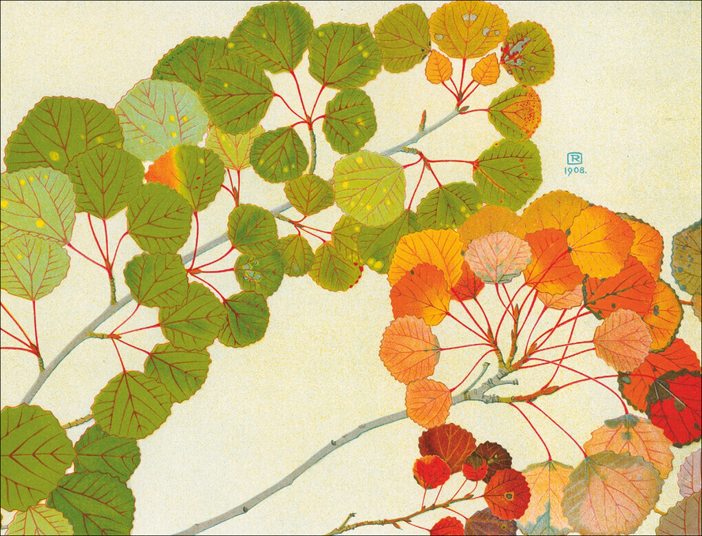 Thumbnail - Die Schönsten Herbstgedichte | 2021 | Deutsch