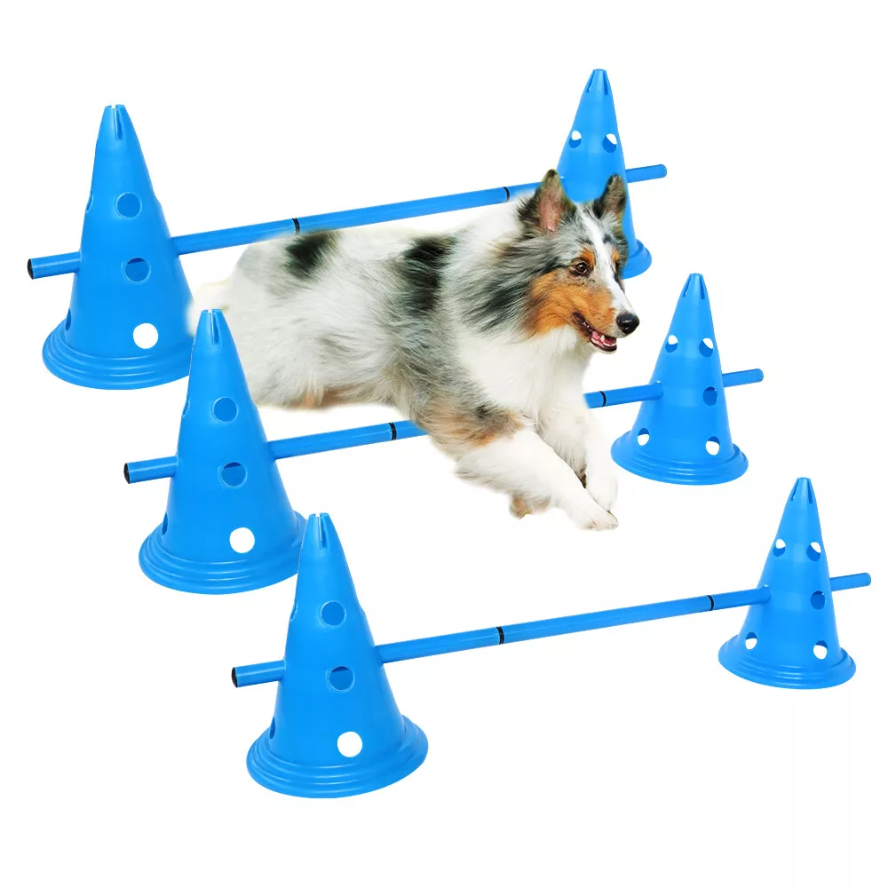 Outdoor dog obstacles 2025