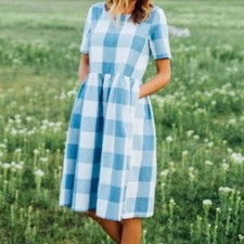 Clad + Cloth Size XS Blue Plaid Gingham Checkered Charlotte Picnic Dress NWT