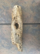 Natural Driftwood for Plants Terrarium Taxidermy Art Projects