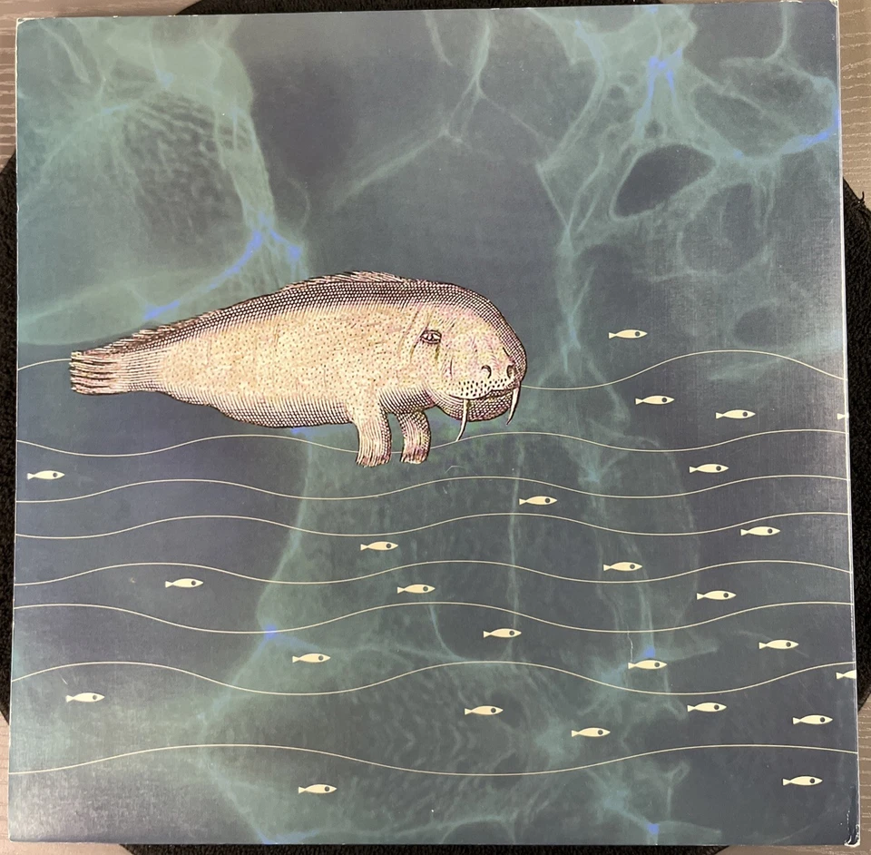 The Melvins - Senile Animal | 4LP BLUE SINGLE SIDED| US | 2008 | HH666-139 | VG+ - Image 4 of 4