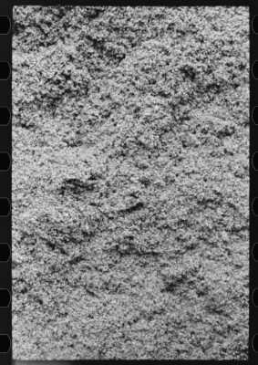 8'' x 10'' 1939 Cotton Seed Hulls,Waco,Texas