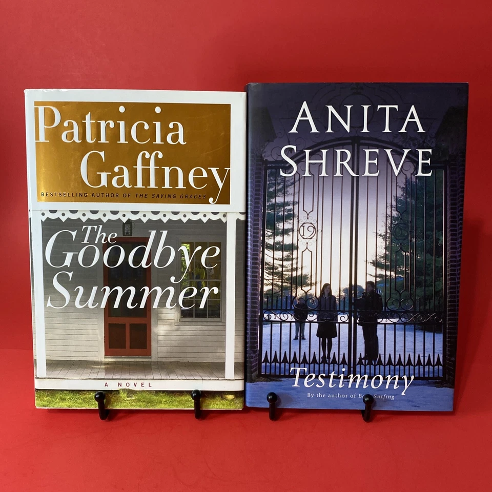 Romance And Drama Books Mix Lot Of 12 Gross, Shreve, Comfort, Quindlen, Miller — 第 4/4 张图片