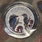 2026 3 Gram .999 Silver Colorized Kookaburra Trib Round Capsule Assay Card!!