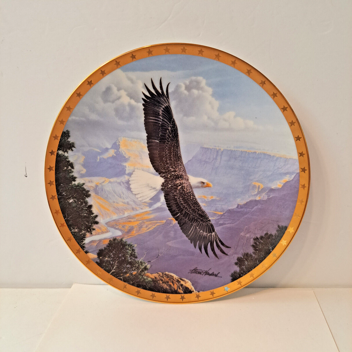 Custom China Creations Decorative Plate Eagle 8