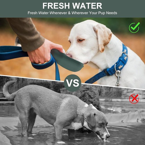 Portable Dog Water Bottle 20oz, Dog Water Dispenser with Food Container (Green) - Picture 6 of 6