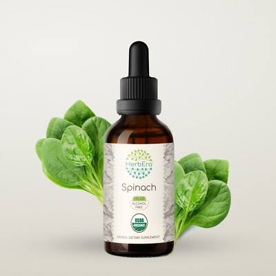 HerbEra Spinach Alcohol-FREE Herbal Extract Tincture Organic (Spinacia oleracea)