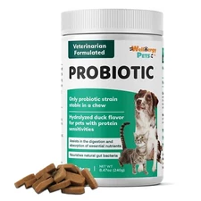 Wellnergy Daily Probiotic & Prebiotics Soft Chew for Dogs & Cats - Digestive ...