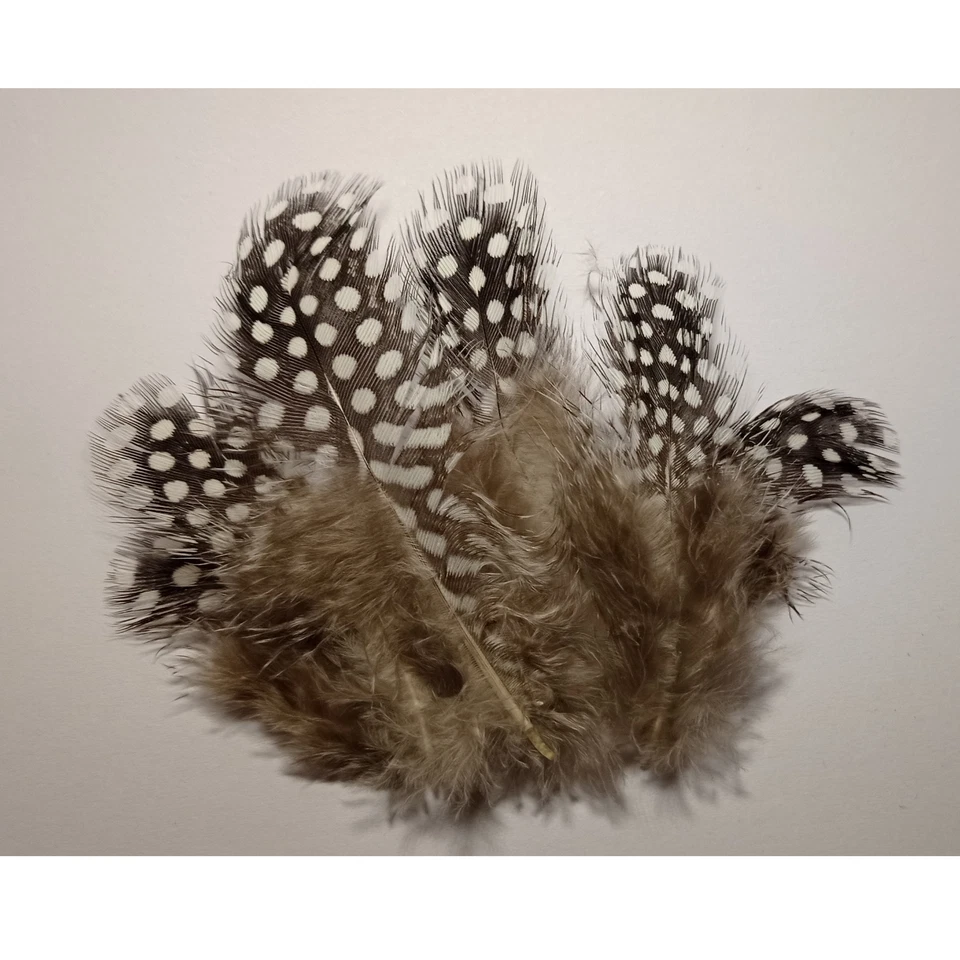 Flausch Federn mit Muster Braun 4cm - 8cm Basteln Echte Feder dunkel Basteln 5cm - Bild 4 von 4