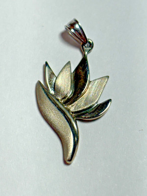 Custom 14k Weißgold DLW Danny Wauneka? Maui Paradiesvogel Anhänger 2,37g