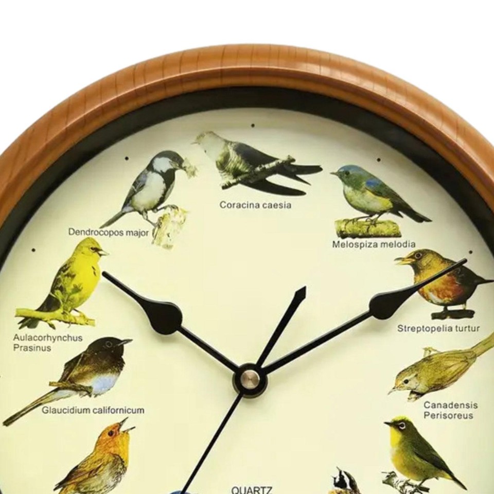 Singing Bird Wall Clock Decorative Wall Clock 10 inch Round Creative ...