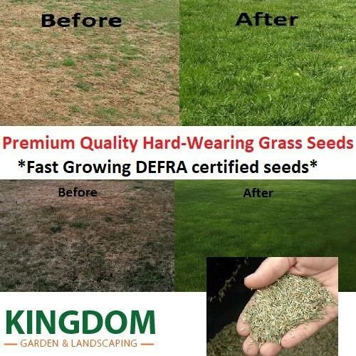 Grow grass fast online