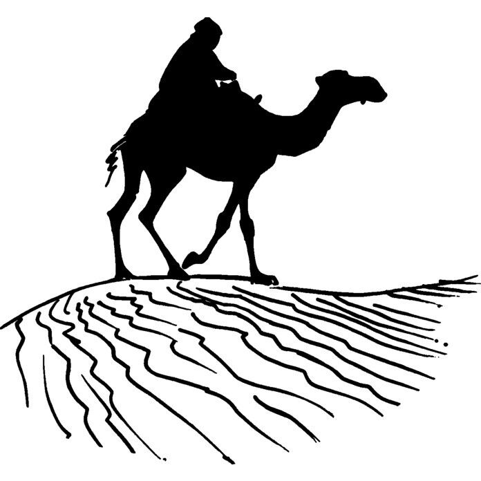 Znaczek "Camel Rider" (niezmontowany) (RS023687)