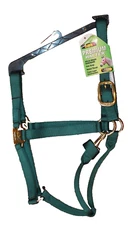 NEW Premium BMB Horse Halter Solid Brass Hardware LARGE 1100-1500lbs GREEN