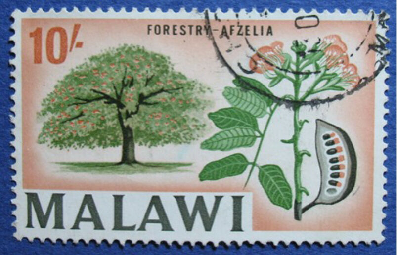 1966 MALAWI 10S SCOTT# 50 S.G.# 261 USED                                 CS08980