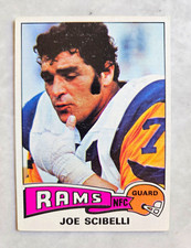 Click to enlarge Joe Scibelli