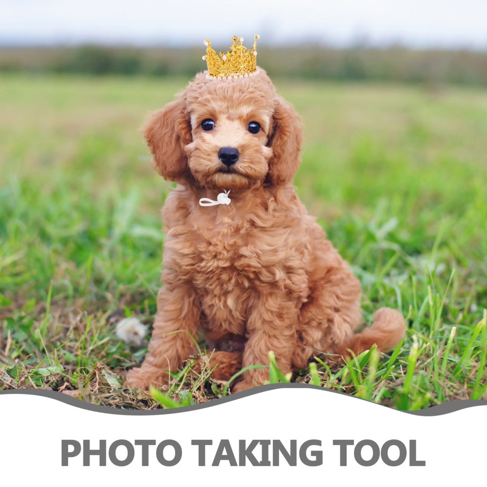 2pcs Cat Crown: Happy Birthday Crown Hat For Dogs And Cats - Pet Party