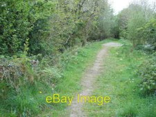 Photo 6x4 Path on old railway track Donegal/G9278 A narrow gauge railway c2008