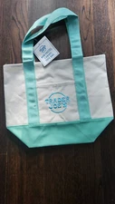NEW Trader Joe’s Mini Canvas Tote Bag Cyan