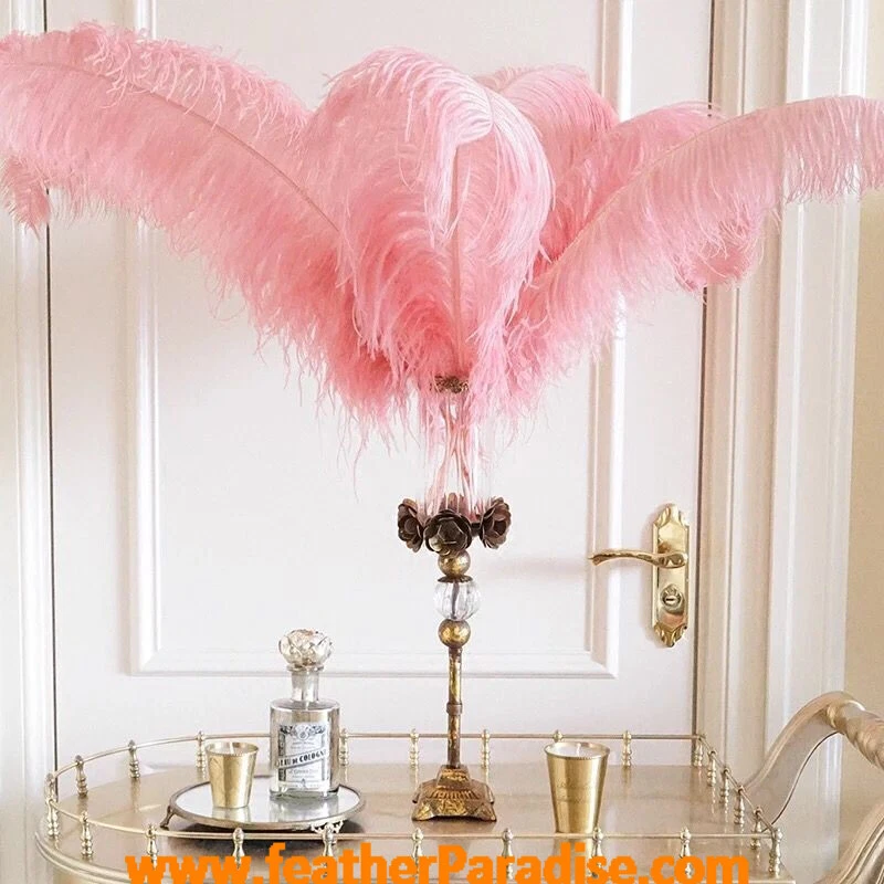 Light pink ostrich clearance feathers