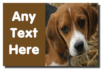 Personalisierter Jumbo-Kühlschrankmagnet Beagle Hund